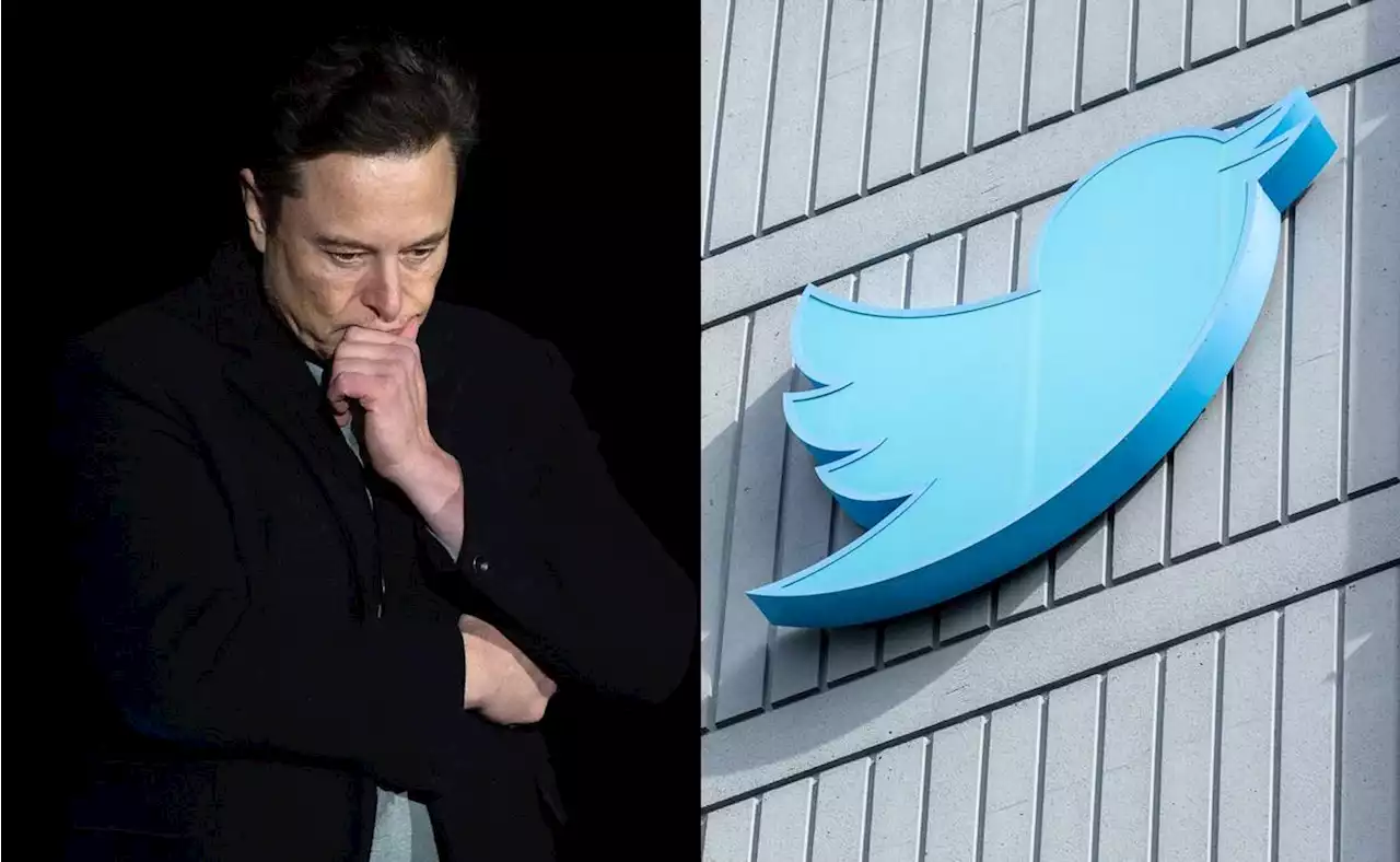 Elon Musk, en busca del nuevo CEO de Twitter ¿Quiénes son los posibles candidatos?