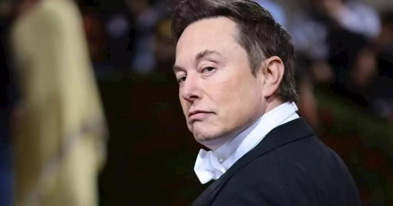 Oferta laboral en Twitter: Elon Musk busca nuevo CEO “lo suficientemente tonto” para que lo reemplace