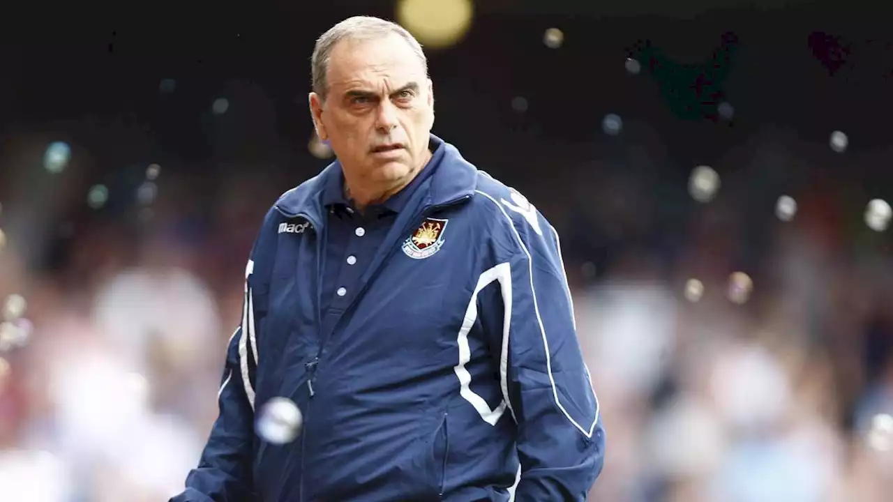 Zambie : Avram Grant nommé à la tête de la sélection