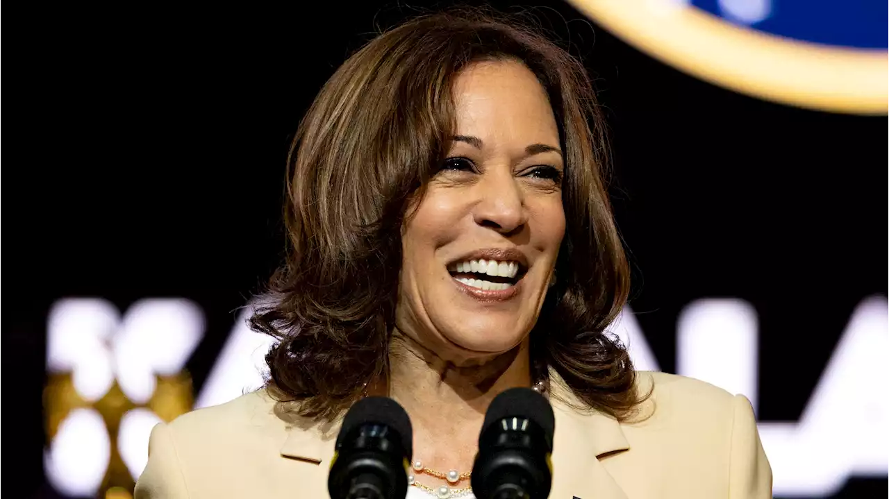 Kamala Harris called husband in rage after Roe v. Wade was overturned by SCOTUS: 'They bleep did it'