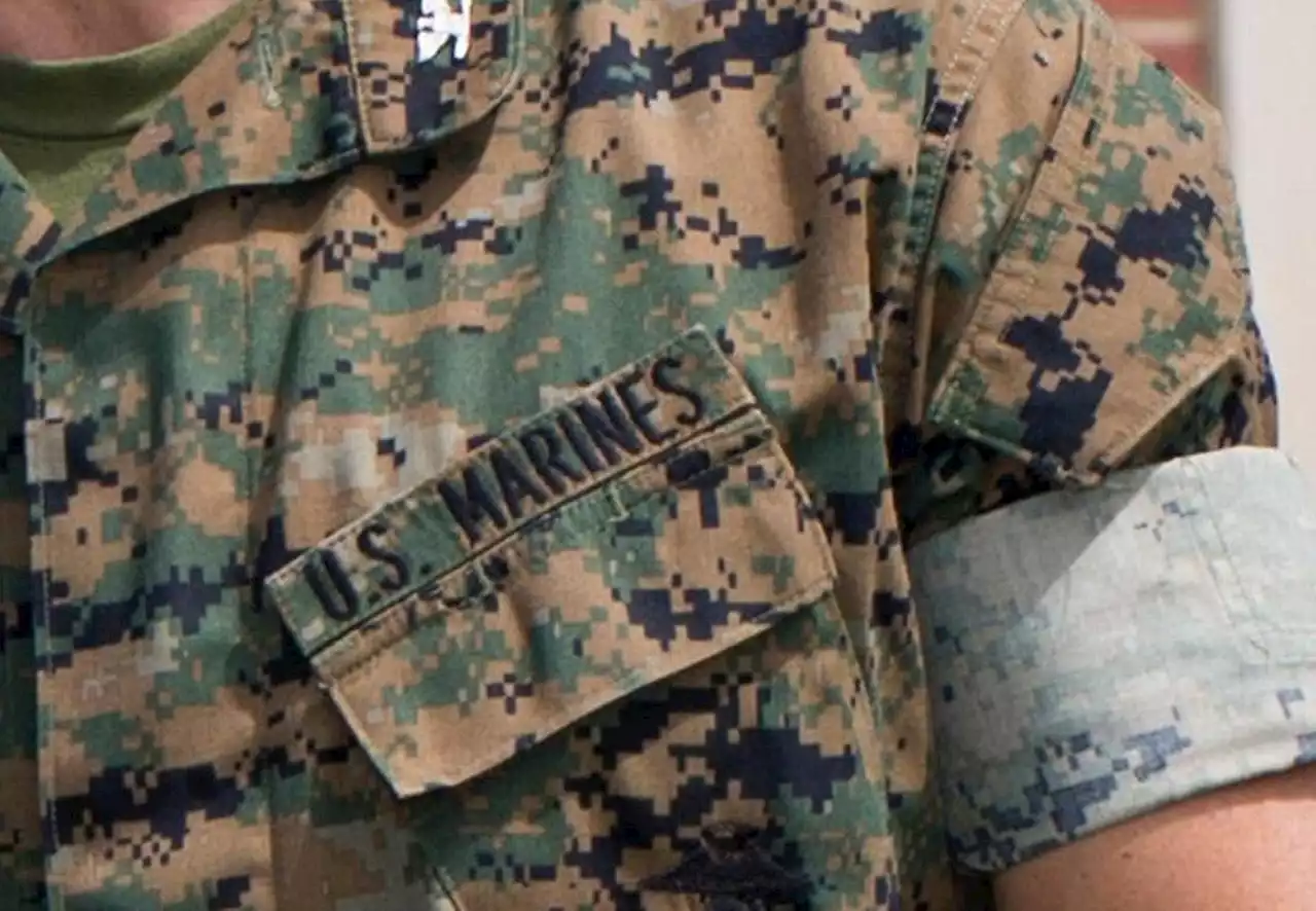 Marine Corps should ditch 'gender-specific' terms for drill instructors: report