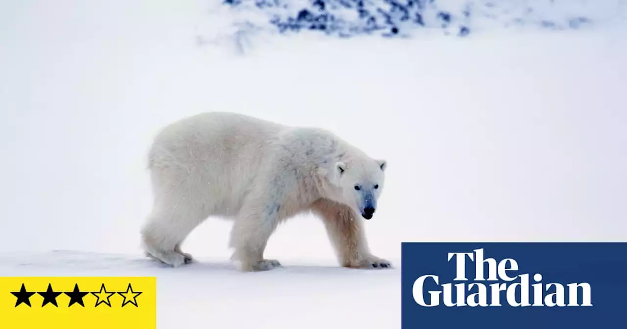 A Year on Planet Earth review – Stephen Fry is no Attenborough in deja vu-inducing nature show