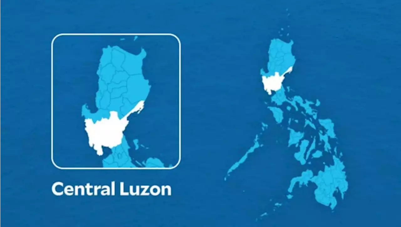 PNP says 10 communist rebels, advocates surrender in Central Luzon