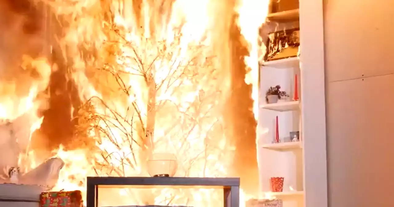 Dublin Fire Brigade warn of common Christmas tree mistake that could prove fatal