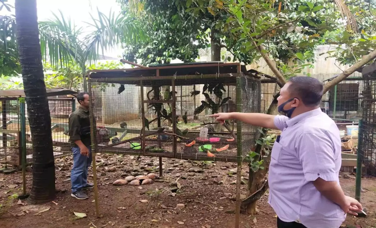 Jajaran Krimsus Polda Lampung Menggagalkan 3 Perkara Satwa Dilindungi