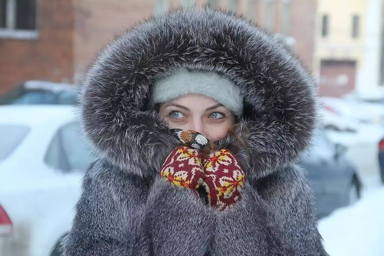 В Гидрометцентре рассказали, как долго в Москве продолжится оттепель