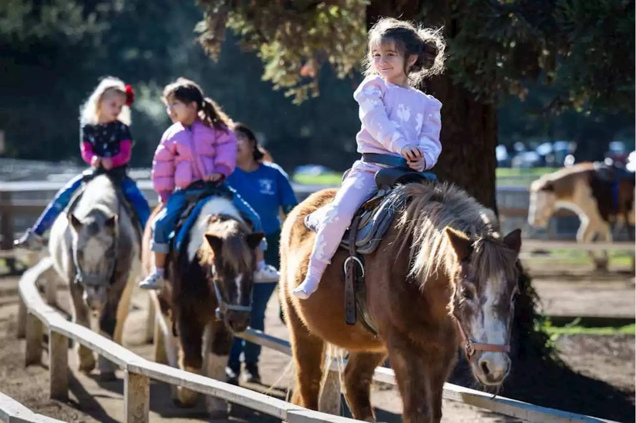 End of era: Children take last pony rides as city closes Griffith Park favorite