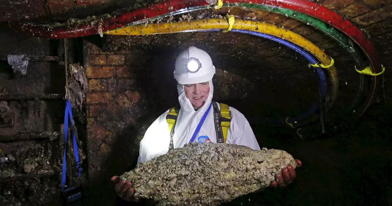 Why The Holidays Are The Season For Fatbergs And Why You Should Care