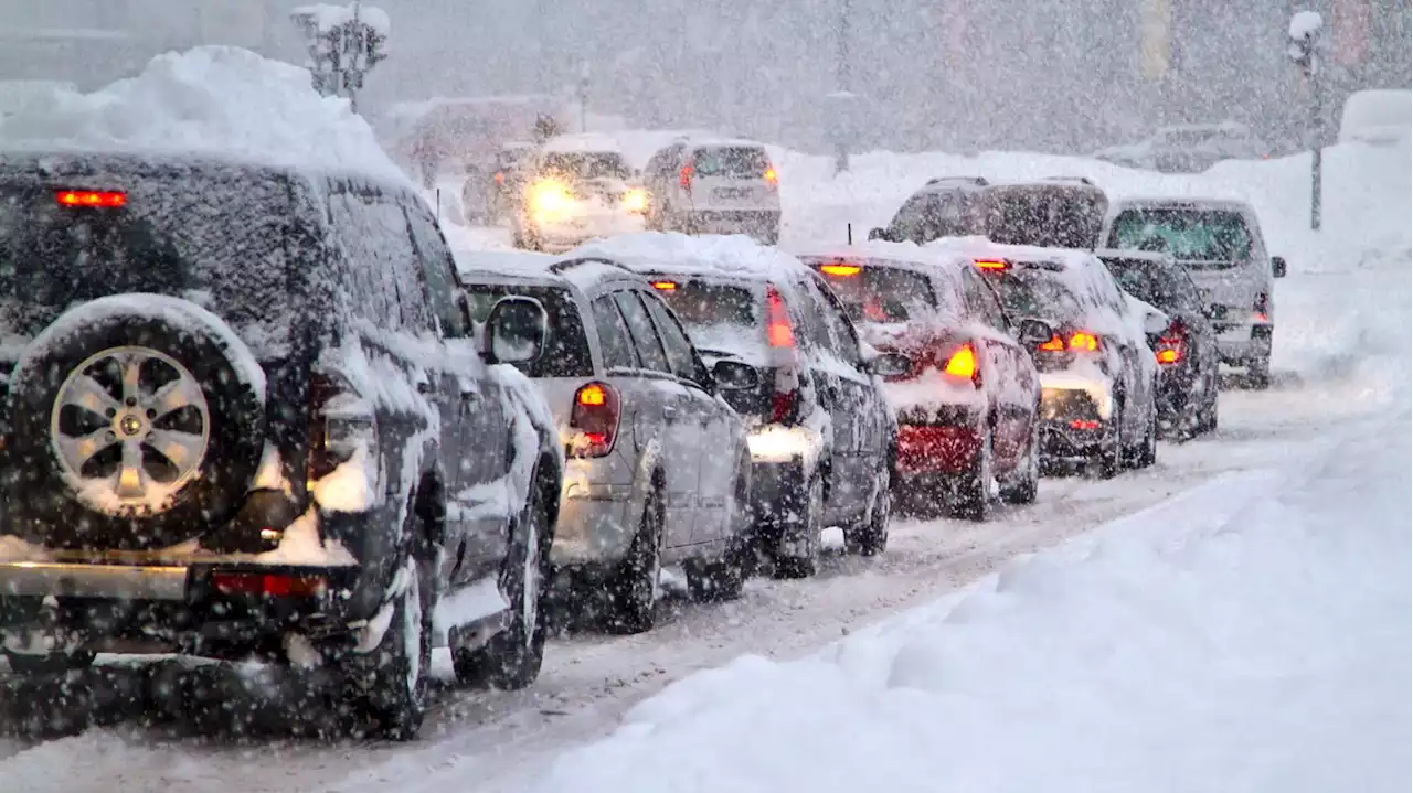 Why you should always keep cat litter in your car — and other winter storm tips