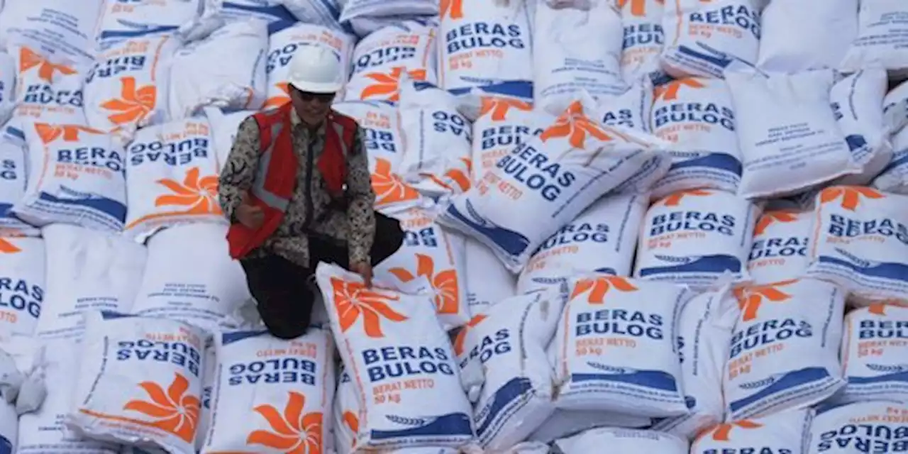 Harga Beras Indonesia Mahal di Asean, Ini Penjelasan Ma'ruf Amin | merdeka.com