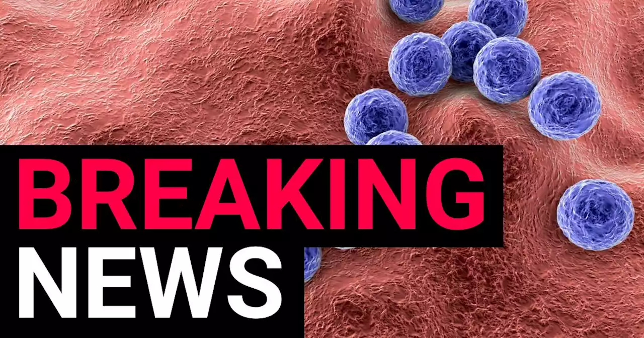 Five more children die from Strep A as death toll rises to 24