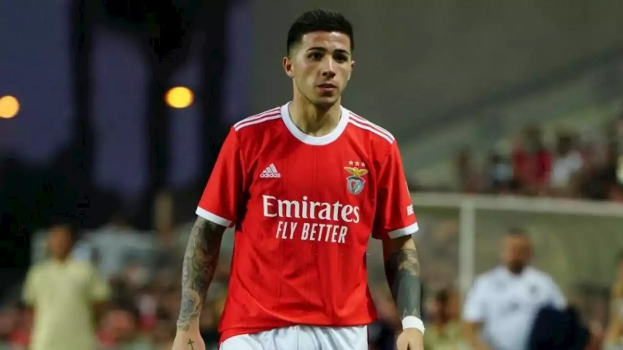 La millonaria oferta que Benfica rechazó por Enzo Fernández