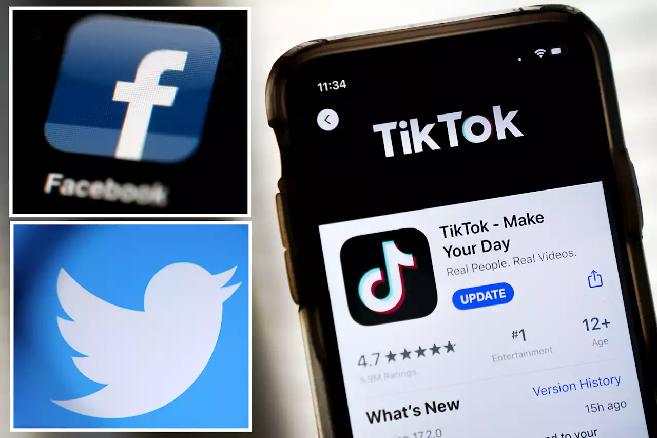 Senators demand Facebook, Twitter, TikTok be more transparent with data