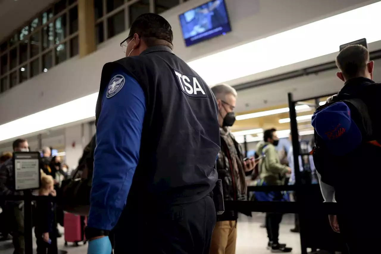 TSA breaks record for number of guns seized nationally and at Harrisburg International