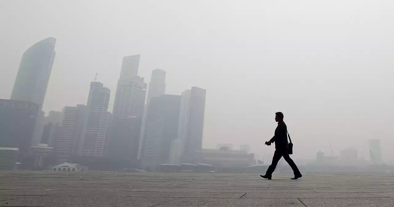Smog, Corte Ue: norme violate non danno diritto a risarcimento individuale