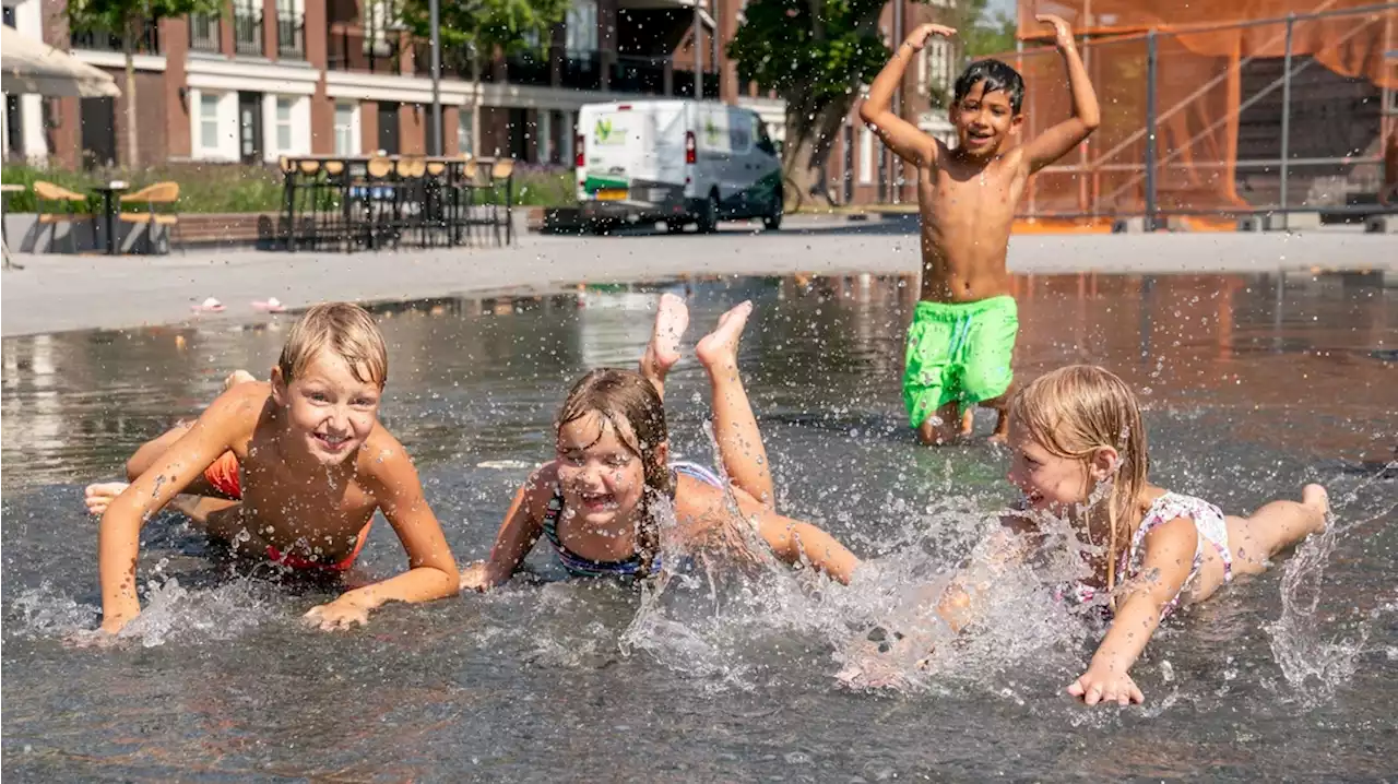 2022 was de zonnigste jaar ooit in (Noord-)Drenthe