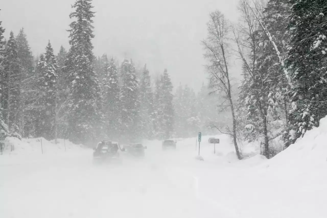 Winter storm could bring up to 40 cm of snow by Saturday