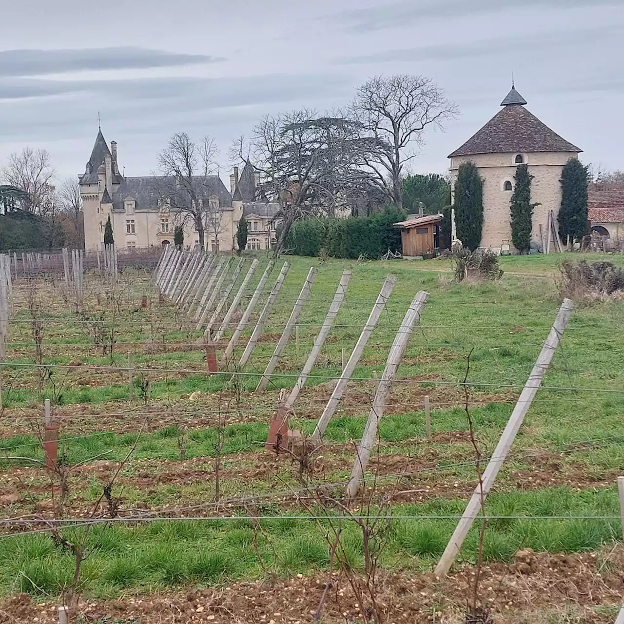 Vins de Bordeaux : le groupe chinois Haichang a perdu de sa superbe