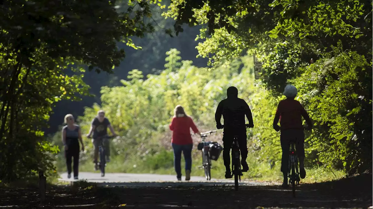 Verkehr in Berlin: Neukölln will Radfahren in einigen Grünanlagen erlauben