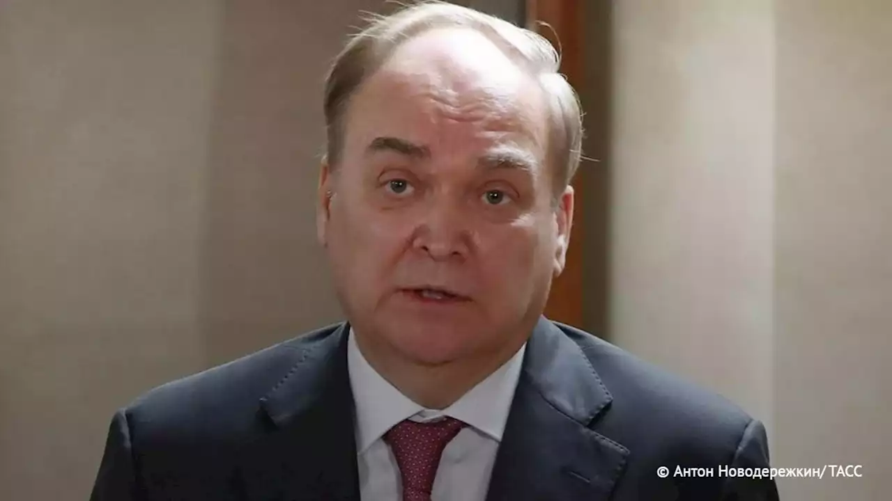 Посол РФ Антонов: визит Зеленского показал, что США и Украина к миру не готовы