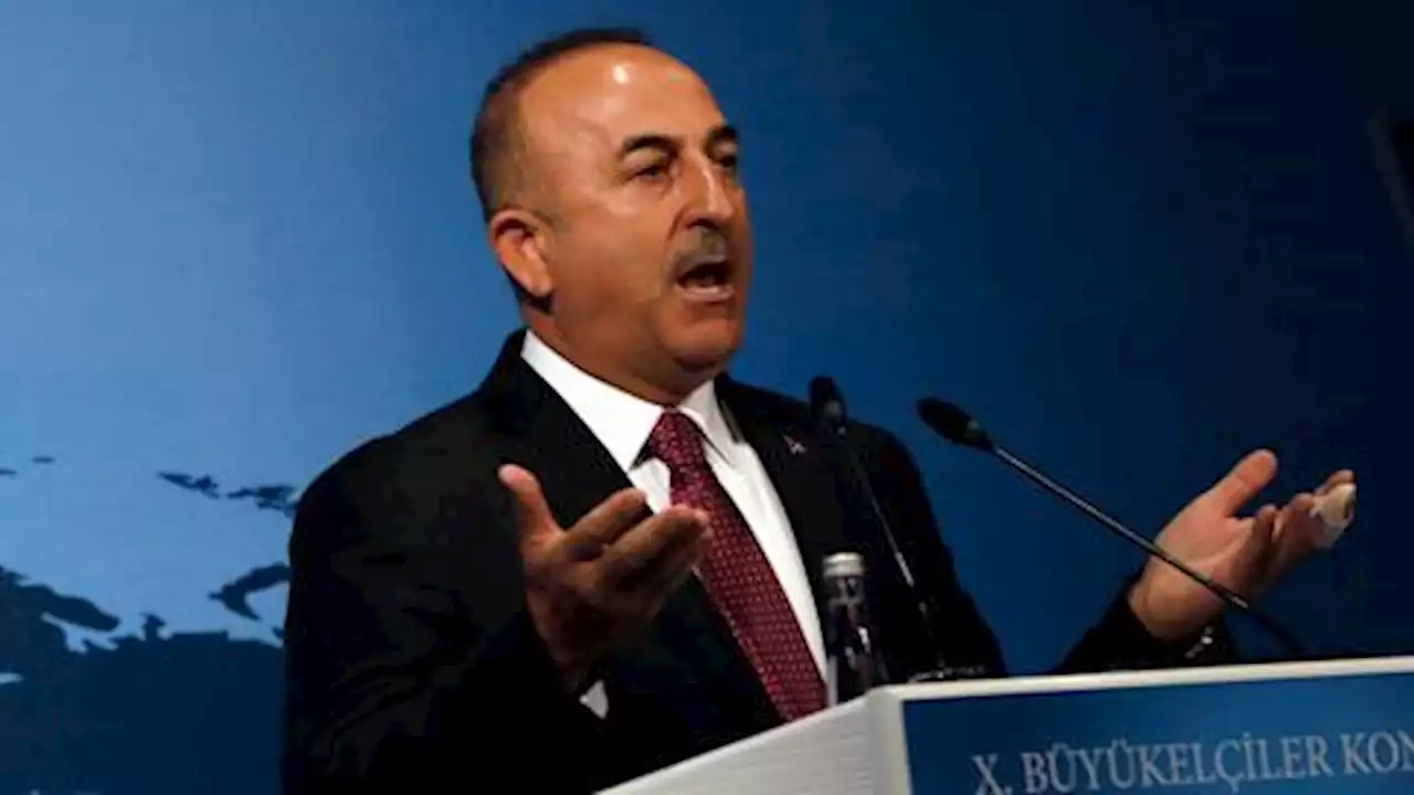 Türkiye to press on anti-terror campaign in Syria, Cavusoglu tells Blinken