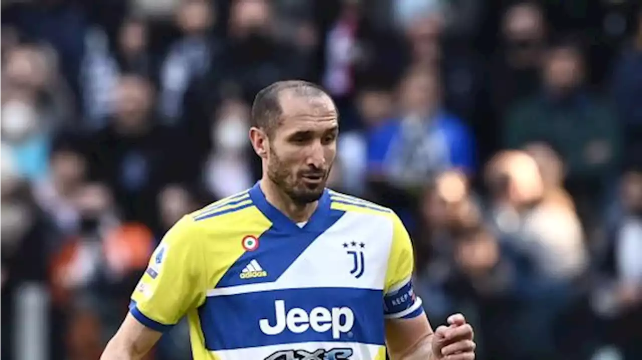 Inchiesta Prisma, Chiellini: 'Tutti sapevamo che il comunicato stampa fosse diverso da accordi' - TUTTOmercatoWEB.com