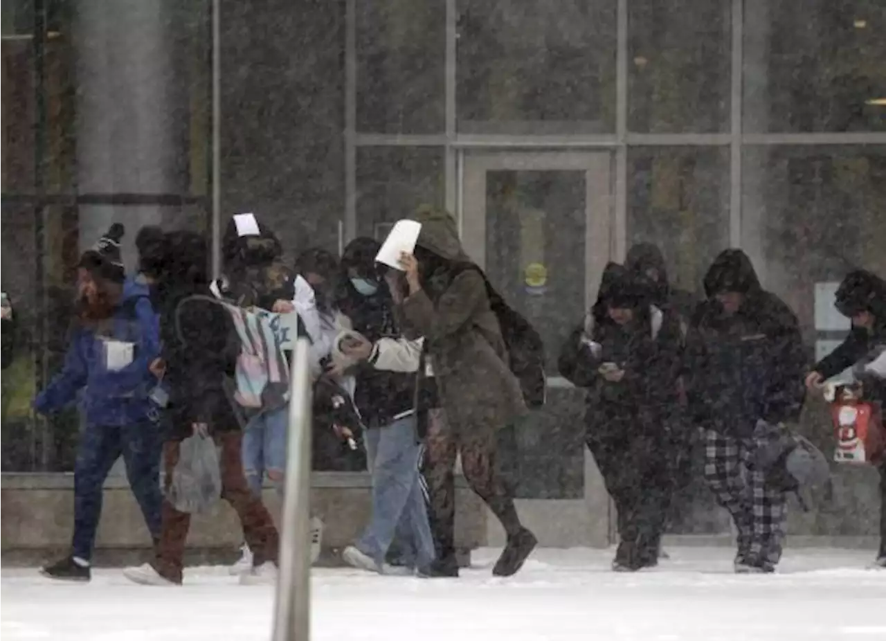 Más de mil 800 vuelos en EU han sido cancelados por tormenta invernal