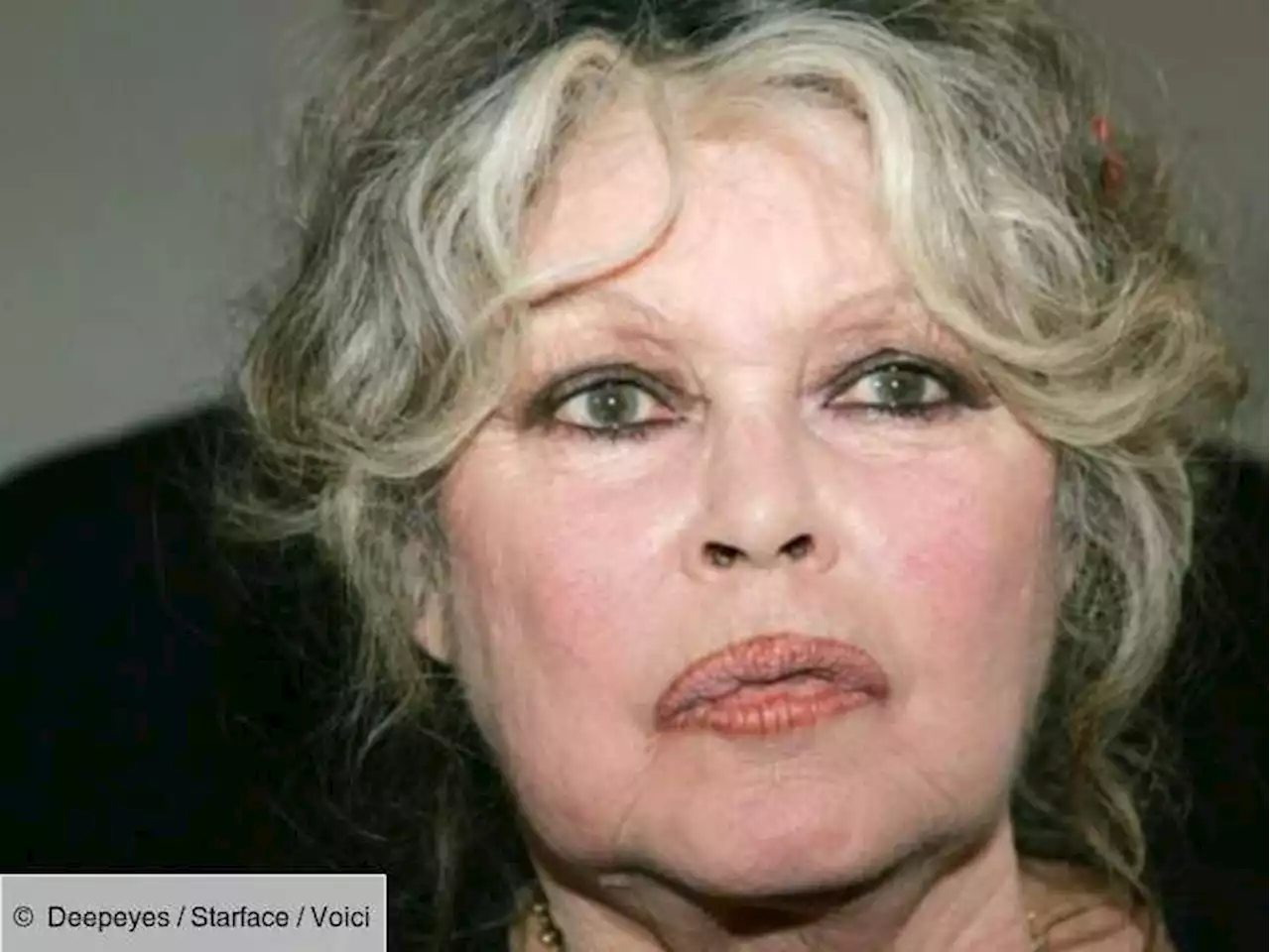 Brigitte Bardot « ne voulait pas d'enfant » : pourquoi elle a accouché de son fils Nicolas sous la contrainte ? - Voici