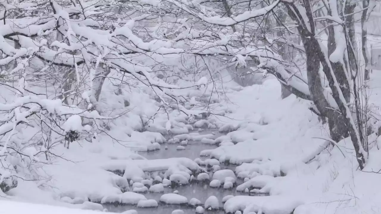 [날씨] 내일 북극한파 절정, 서울 -14℃...서해안 30cm 폭설