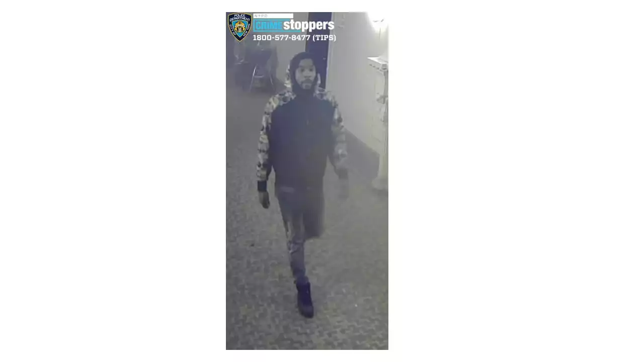 Suspects sought for assaulting victim and stealing cellphone during Queens home invasion | amNewYork