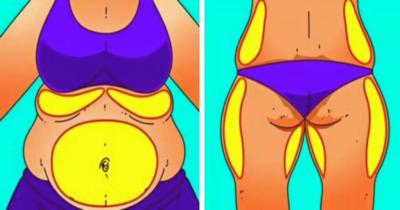 9 Workout to burn belly and back fat for beginners in 4 weeks at home (video)