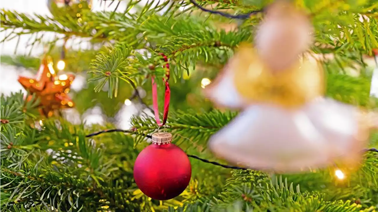 Drei Tipps für die Weihnachtsfeiertage