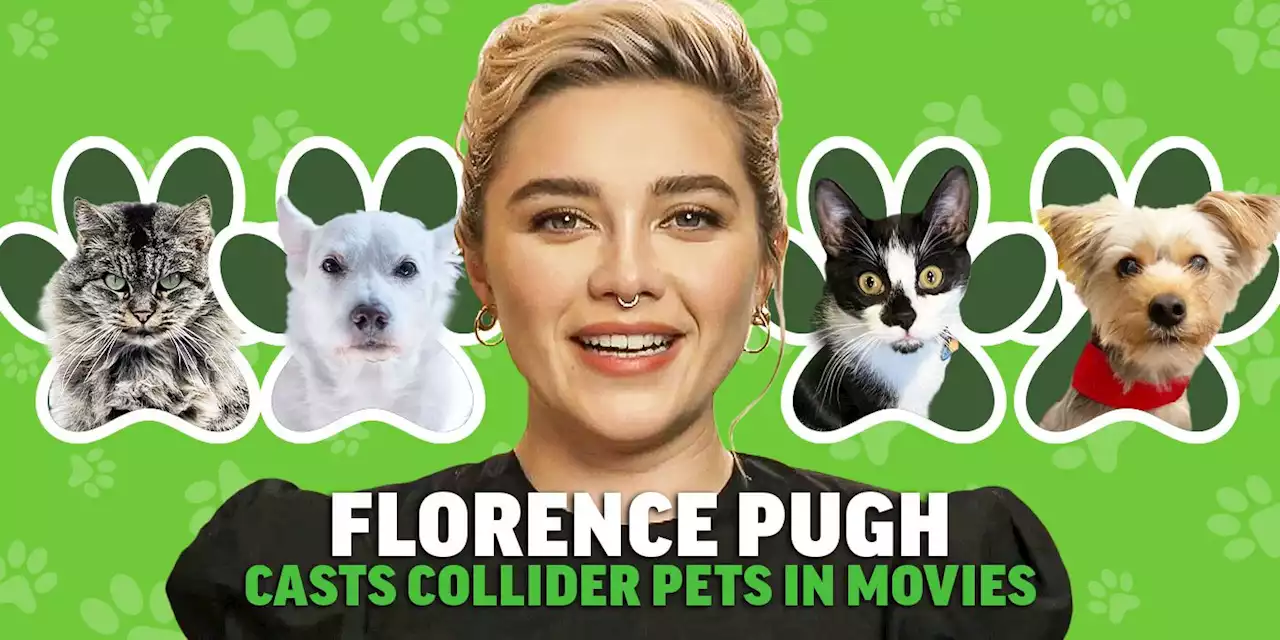 Watch Florence Pugh Cast Collider Pets in Movies