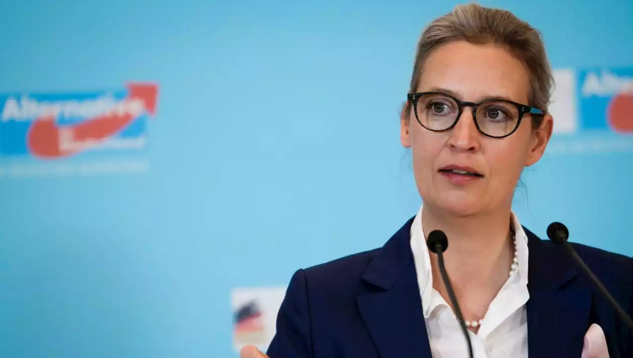 Twitter: AfD-Chefin Alice Weidel lobt Kurs von Elon Musk