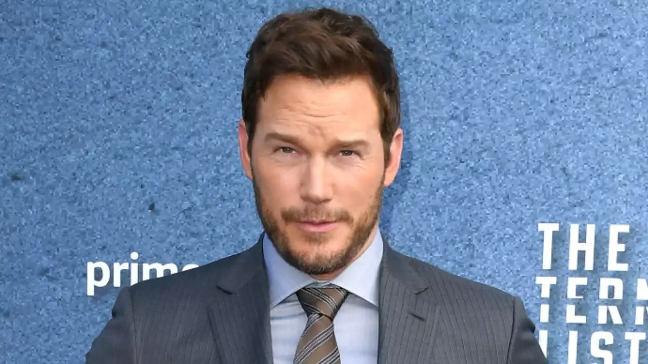 Chris Pratt Gets Stung by a Bee in the Eye: See the Video!