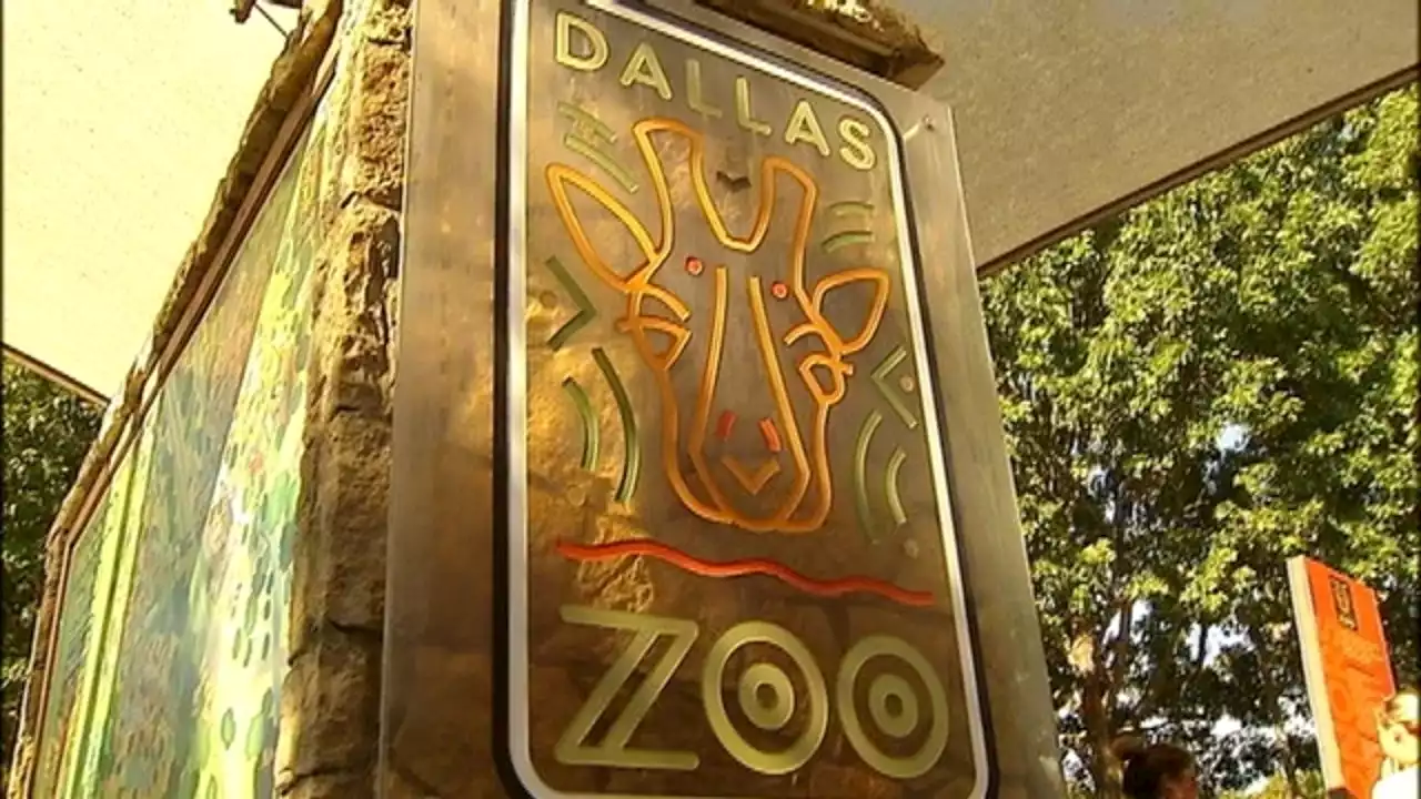 Dallas and Fort Worth zoos to close early because of arctic blast