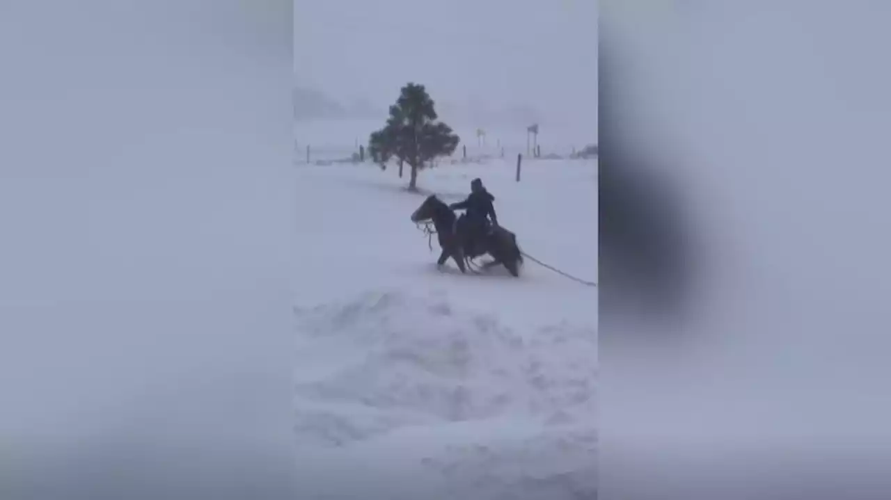 Estados Unidos, amenazado por una tormenta polar sin precedentes: se esperan hasta 50 grados bajo cero