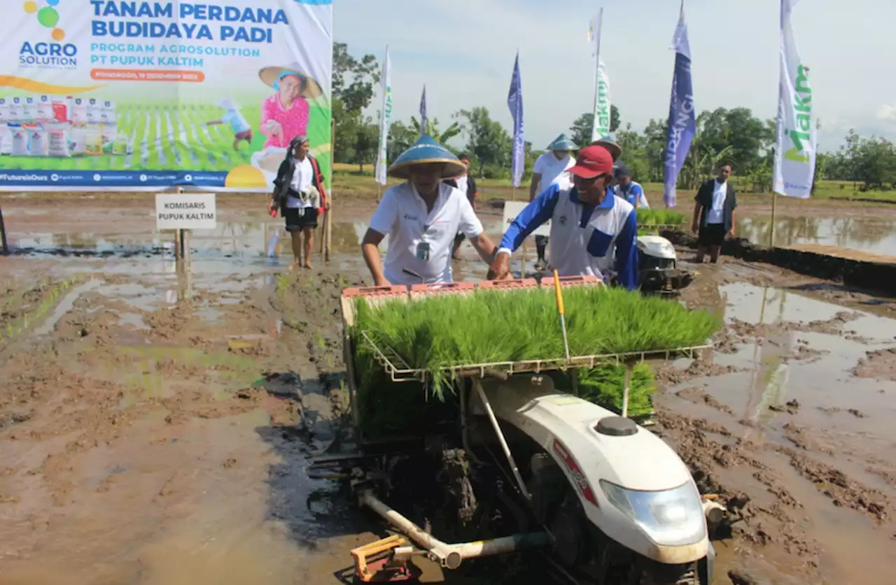 Perluas Agrosolution, Pupuk Kaltim Targetkan Perluasan Lahan di Seluruh Kecamatan Ponorogo