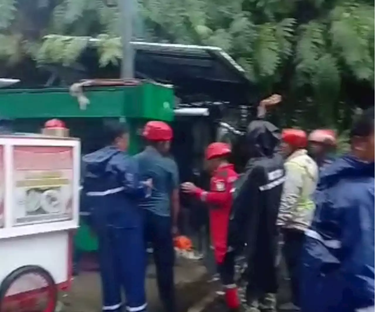 Pohon Tumbang di Makassar, 4 Warga Dilarikan ke Rumah Sakit