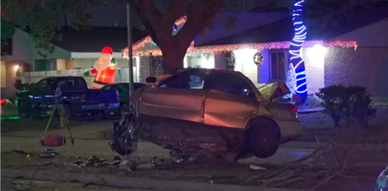 Driver dies after vehicle hits tree, splits in half in southwest Houston: HPD