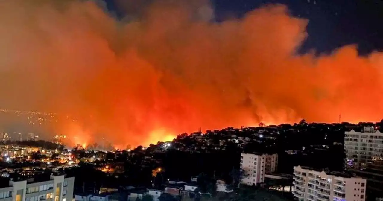 Chile: voraz incendio afectó a 200 casas en Viña del Mar | Sucesos | La Voz del Interior