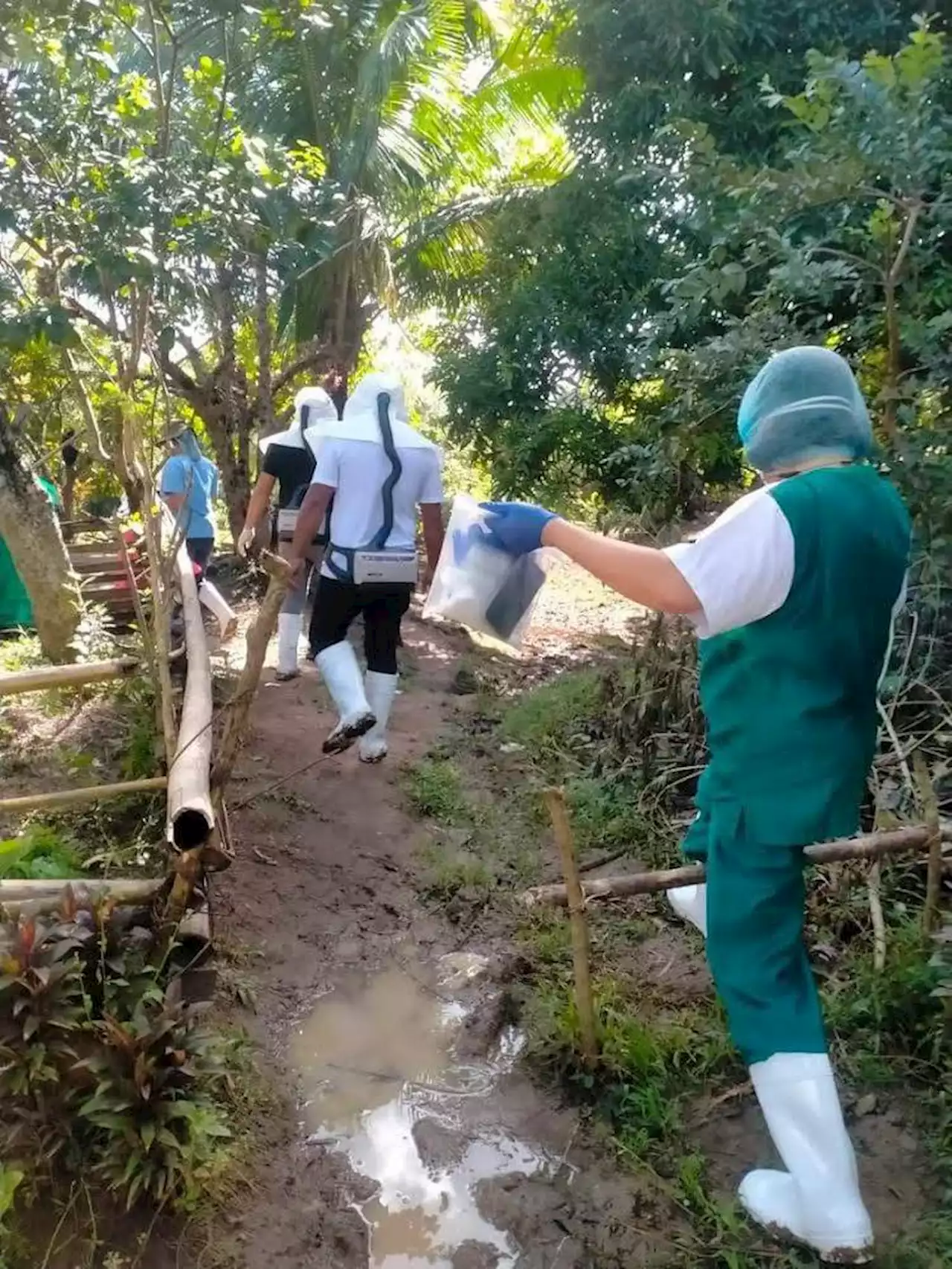 Prov’l veterinarian confirms case of anthrax in St. Niño, Cagayan; 22 people placed in isolation