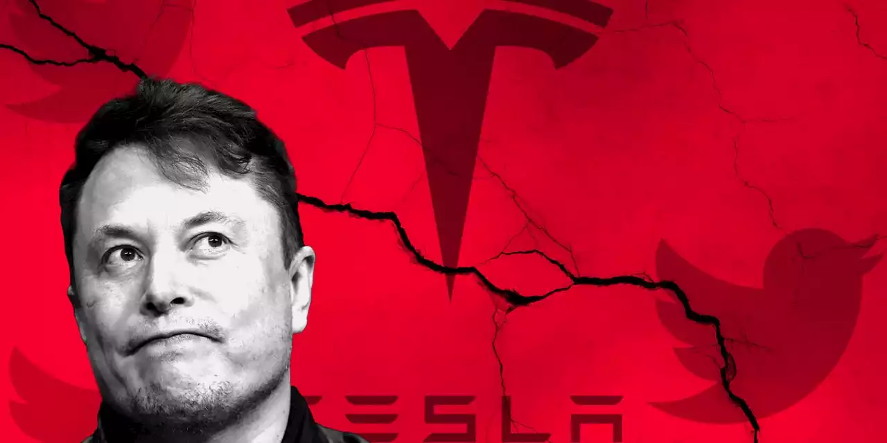 Tesla is the most profitable short pick of 2022, with nearly $14 billion in proceeds since Elon Musk agreed to buy Twitter