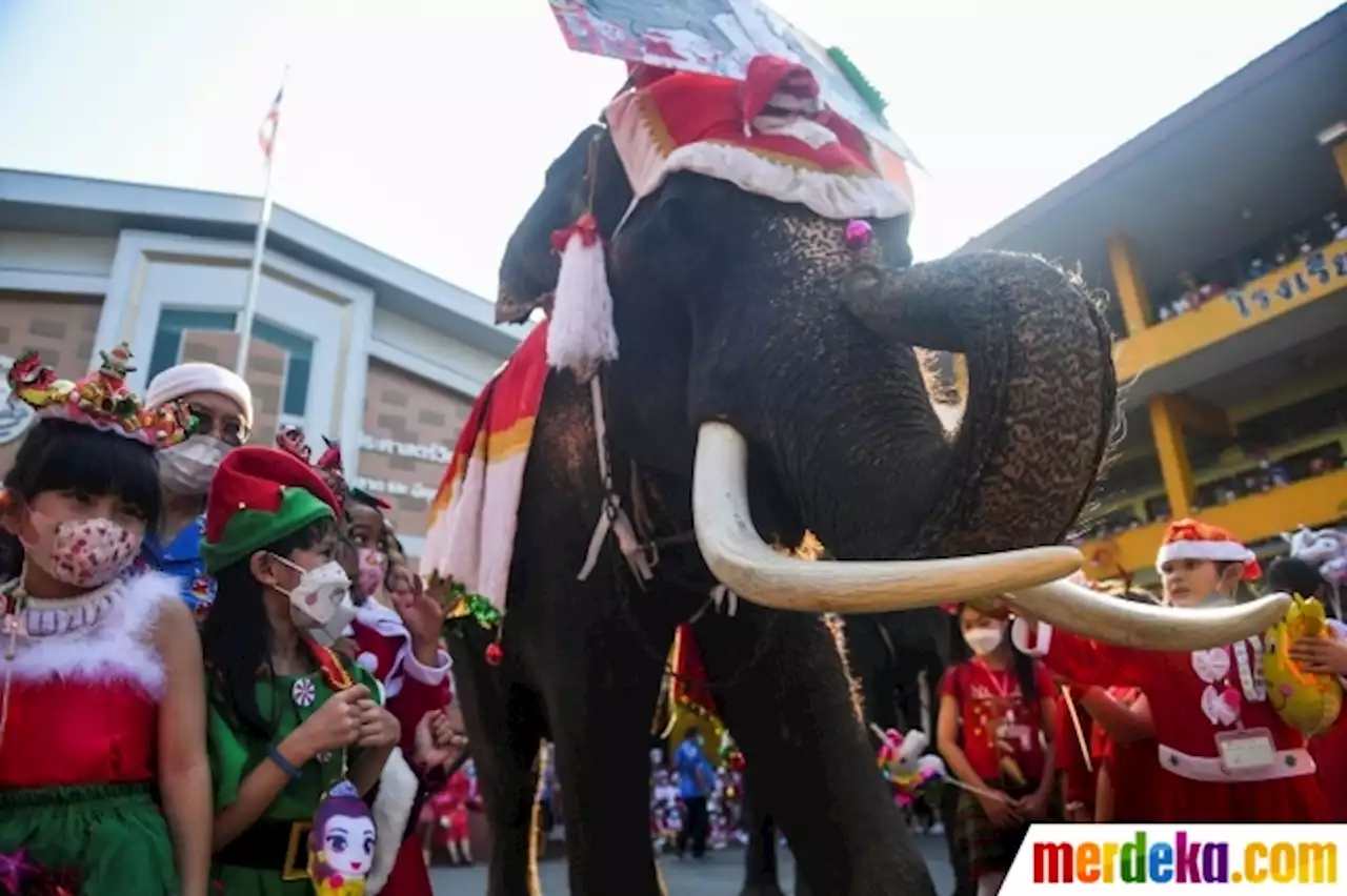 Foto : Aksi Gajah Sinterklas Berbagi Keceriaan dengan Anak-Anak Thailand | merdeka.com