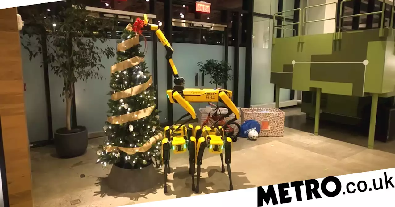 Watch robot dogs decorate a Christmas tree because machines feel festive too