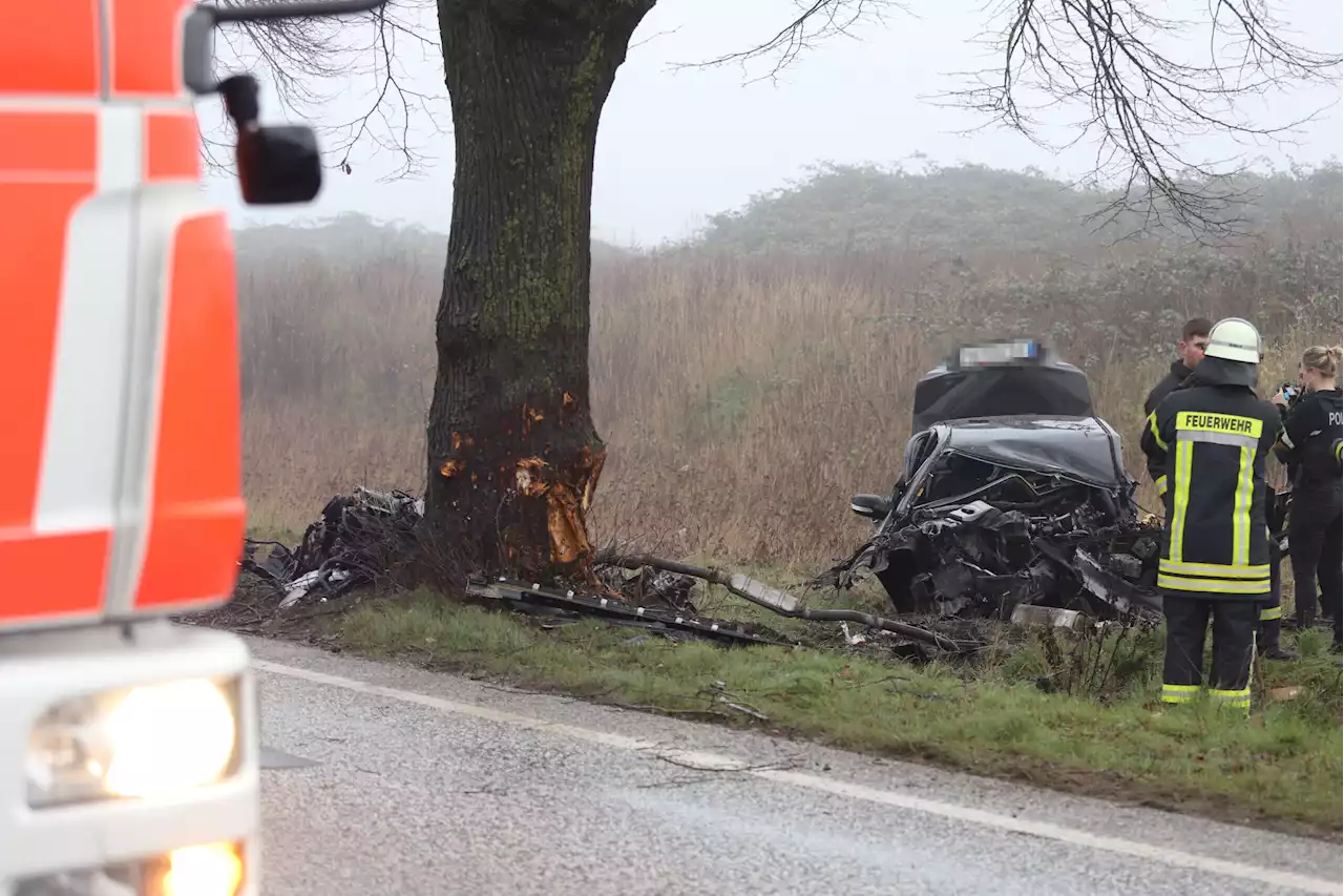 Tödlicher Unfall im Nebel: Autofahrer kracht gegen Baum und stirbt