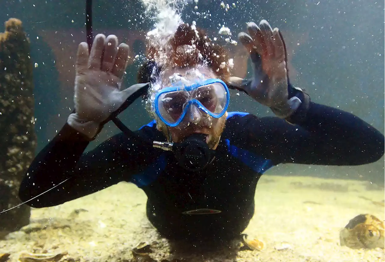 Photo essay: How one diver hand feeds fish at Jackson's natural science museum