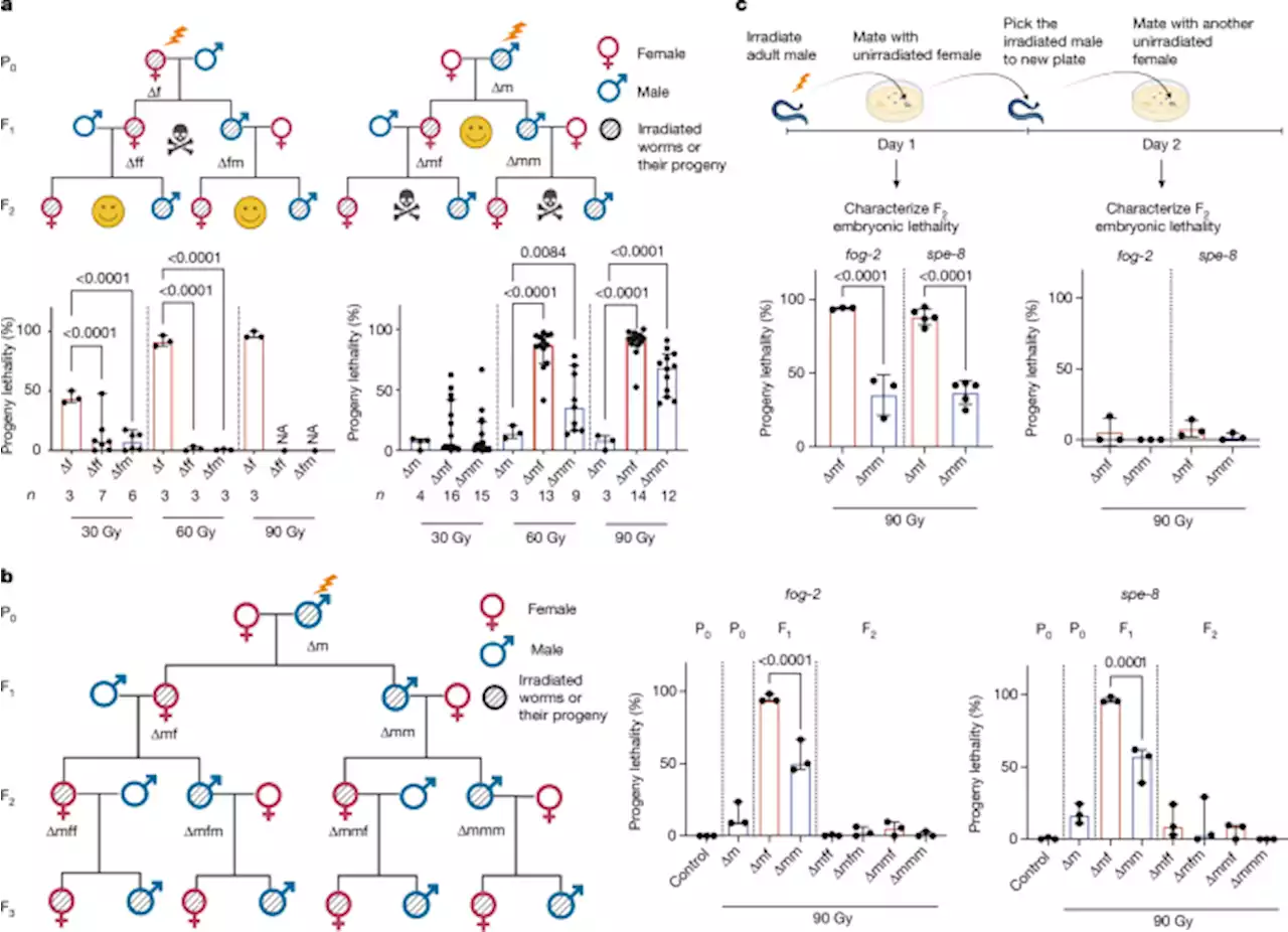 Inheritance of paternal DNA damage by histone-mediated repair restriction - Nature