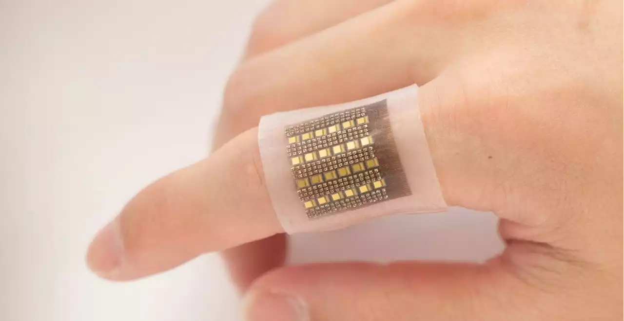 Wearable skin patch could help clinicians diagnose tumors, organ malfunction and more