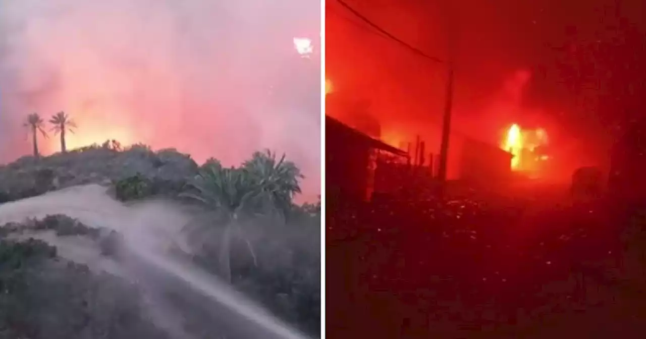 Impactantes videos de incendio en Viña del Mar que destruyó varias casas